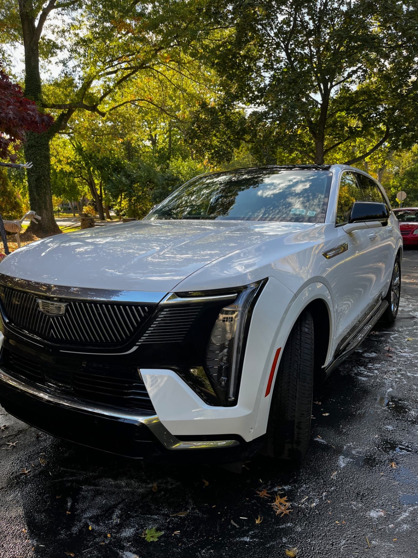 Professional exterior detailing showcase - pristine car exterior with glossy finish