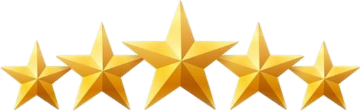 5 out of 5 stars