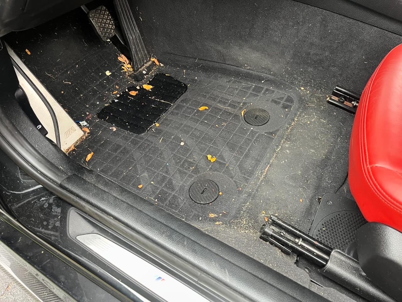 Floor Mats before detailing