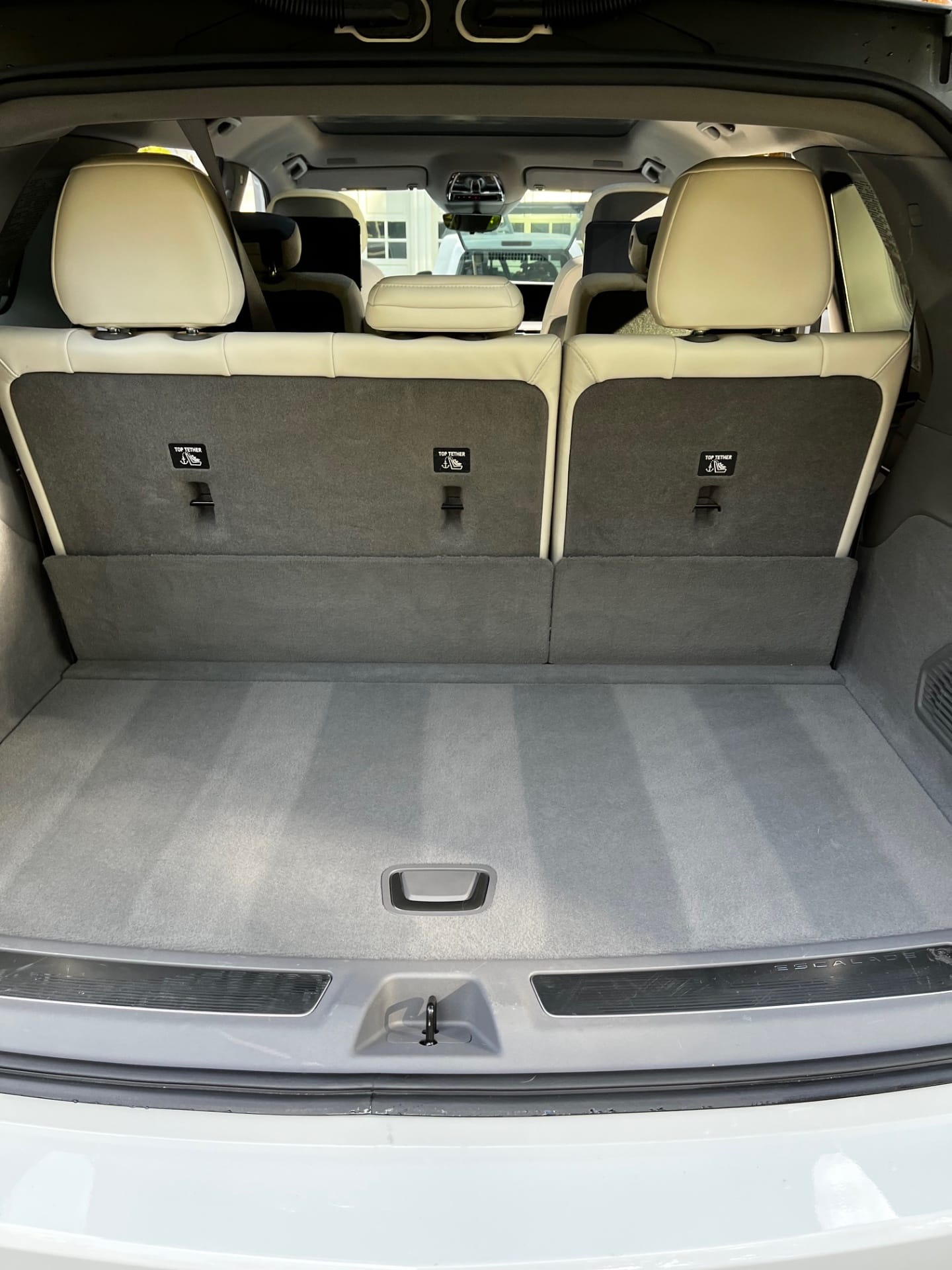 Freshly vacuumed carpet with detailing stripes
