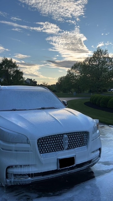Professional detailing results