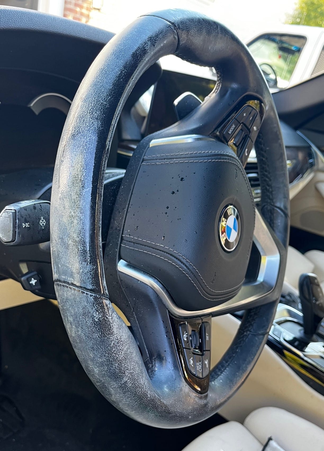 Steering Wheel before detailing