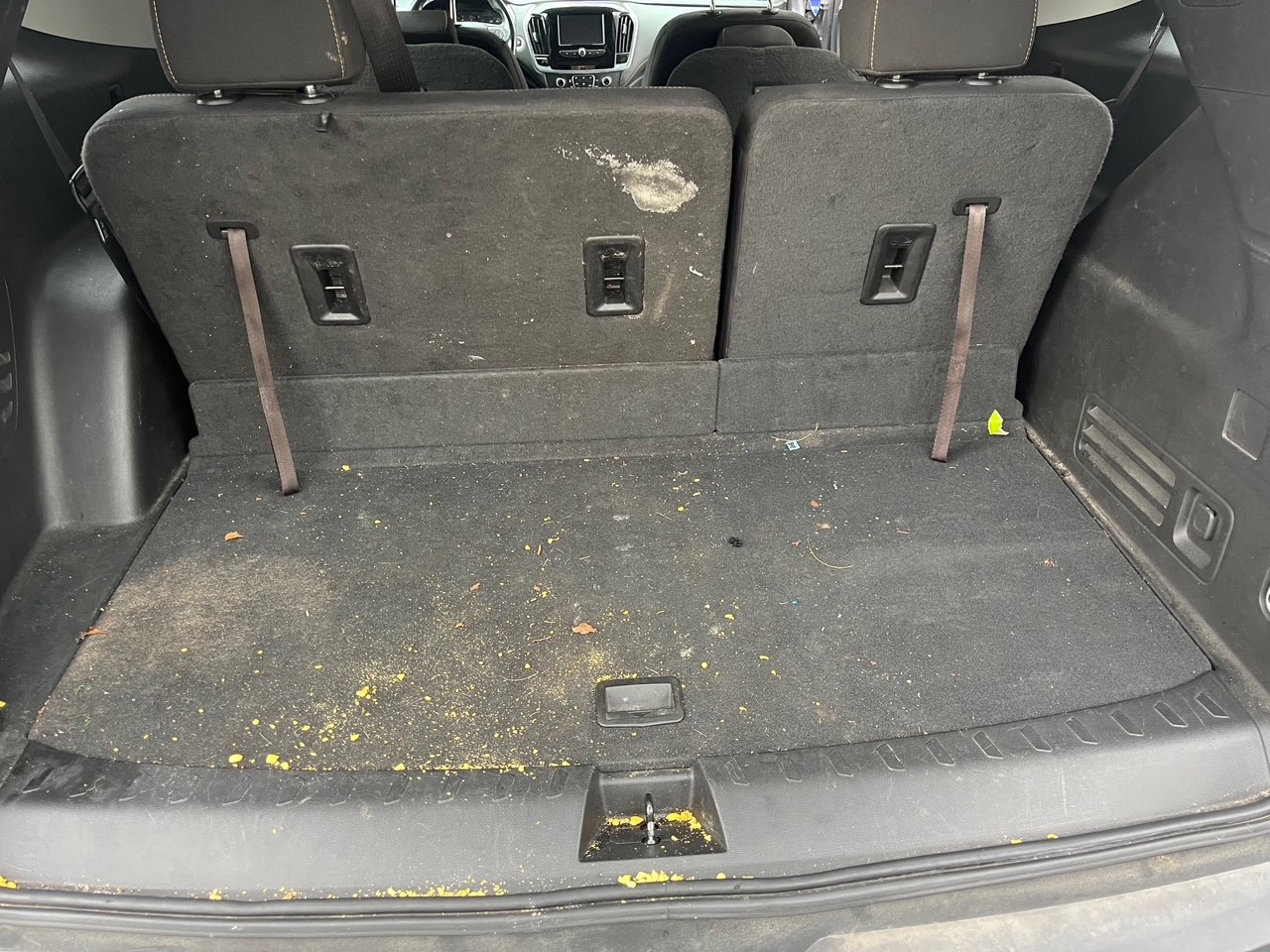 Trunk before detailing
